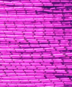 ProWrap Metallic Rod Winding Thread - Size A (100 Yds) Supplies