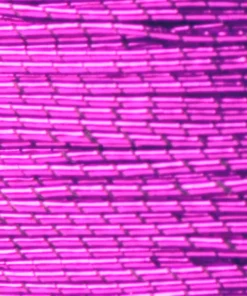 ProWrap Metallic Rod Winding Thread - Size D (1 Oz) Supplies