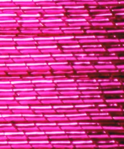 ProWrap Metallic Rod Winding Thread - Size D (1 Oz) Supplies