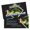 Mud Hole Custom Business Cards: Largemouth Bass Chasing Lure Gear