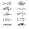 Mud Hole Supplies Black & White Gamefish Bumper Stickers
