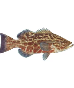 Mud Hole Truck Decals & Stickers 12