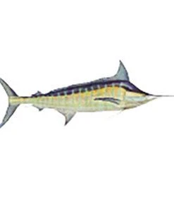 CRB Gamefish Rod Decals 65 CRB Gamefish Rod Decals