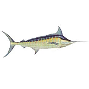 CRB Gamefish Rod Decals 9 CRB Gamefish Rod Decals
