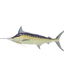 Mud Hole Truck Decals & Stickers 12