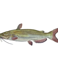 Mud Hole Truck Decals & Stickers 12