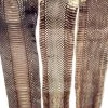 Mud Hole Supplies Cobra Snake Skins 2 Mud Hole Supplies Cobra Snake Skins