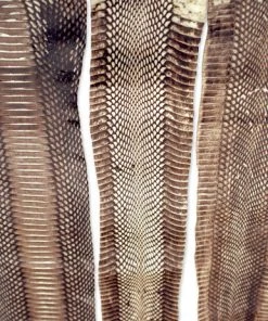Mud Hole Supplies Cobra Snake Skins