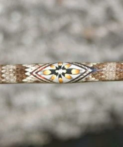 Mud Hole Sea Snake Skins