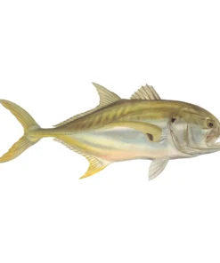 Mud Hole Truck Decals & Stickers 12