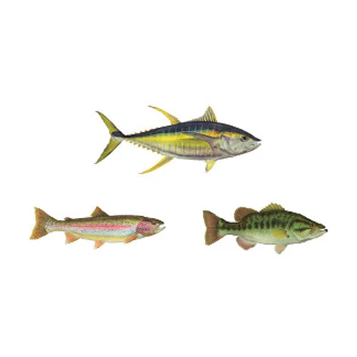 CRB Gamefish Rod Decals 3 CRB Gamefish Rod Decals