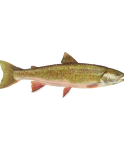 Mud Hole Truck Decals & Stickers 12