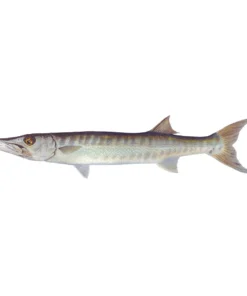 Mud Hole Truck Decals & Stickers 12