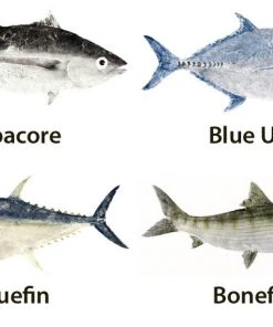 CRB Japanese Gyotaku Fish Art Decals By Marshall Madruga