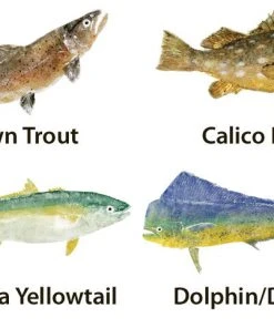 CRB Japanese Gyotaku Fish Art Decals By Marshall Madruga 9 CRB Japanese Gyotaku Fish Art Decals By Marshall Madruga