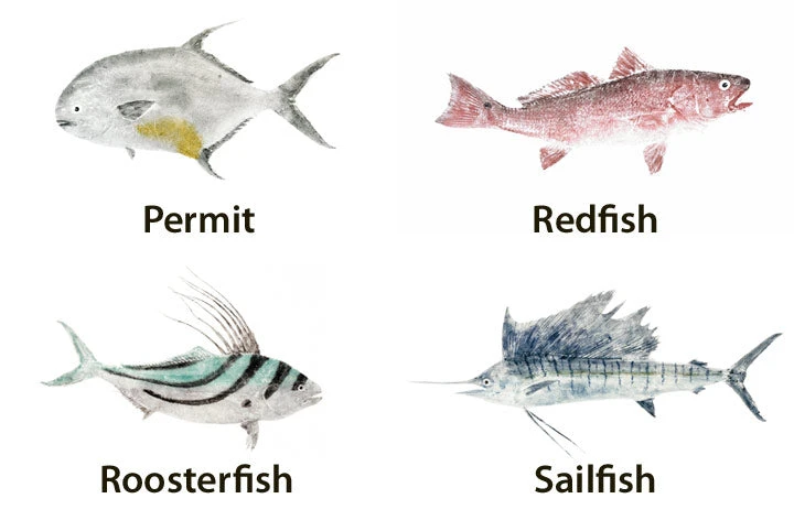 CRB Japanese Gyotaku Fish Art Decals By Marshall Madruga 6 CRB Japanese Gyotaku Fish Art Decals By Marshall Madruga