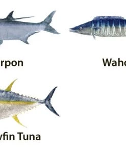 CRB Japanese Gyotaku Fish Art Decals By Marshall Madruga 13 CRB Japanese Gyotaku Fish Art Decals By Marshall Madruga