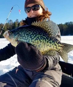 Ice Strong Titanium Spring Bobbers Ice Rod Guides 11 Ice Strong Titanium Spring Bobbers Ice Rod Guides