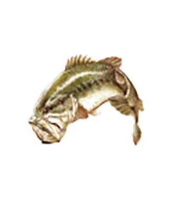 CRB Gamefish Rod Decals