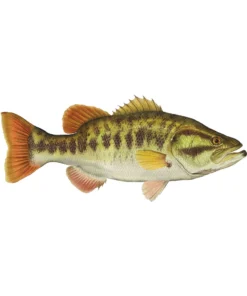 Mud Hole Truck Decals & Stickers 12