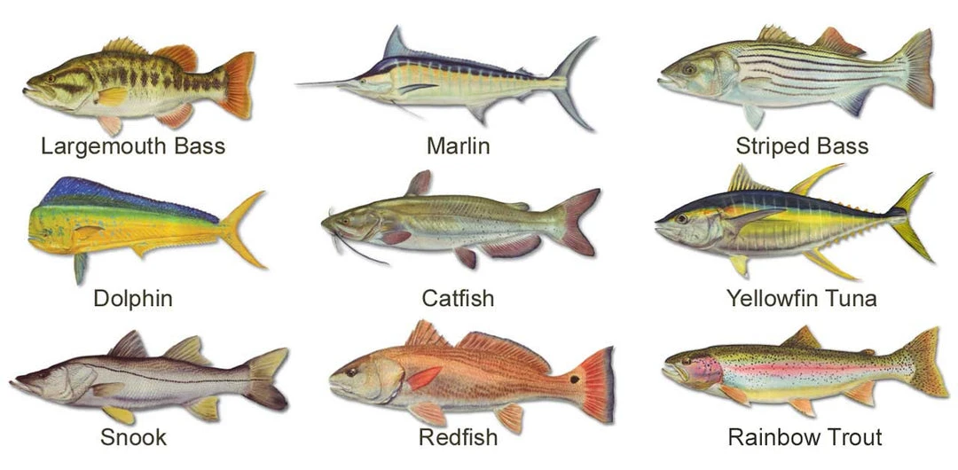 Mud Hole Personalized Can Koozie 002 5 Mud Hole Personalized Can Koozie 002