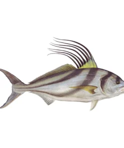 Mud Hole Truck Decals & Stickers 12