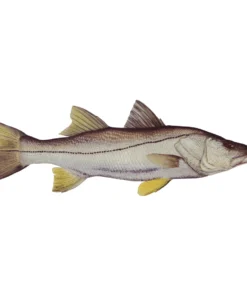 Mud Hole Truck Decals & Stickers 12