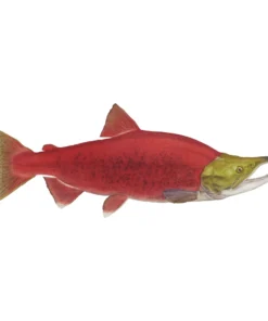 Mud Hole Truck Decals & Stickers 12