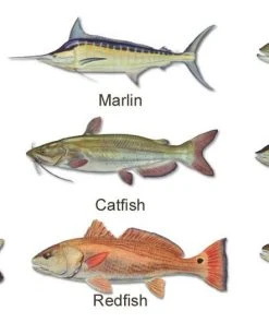 Mud Hole Custom T-Shirt: Wanted Poster With Gamefish