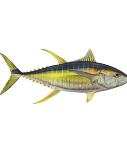 Mud Hole Truck Decals & Stickers 12