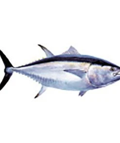 CRB Gamefish Rod Decals 66 CRB Gamefish Rod Decals