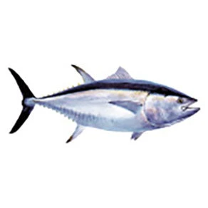 CRB Gamefish Rod Decals 10 CRB Gamefish Rod Decals