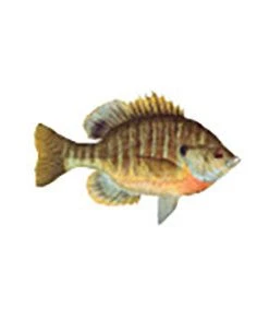 CRB Gamefish Rod Decals 89 CRB Gamefish Rod Decals