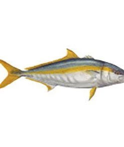 CRB Gamefish Rod Decals 71 CRB Gamefish Rod Decals