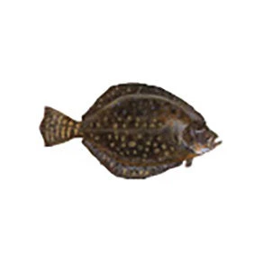 CRB Gamefish Rod Decals 20 CRB Gamefish Rod Decals