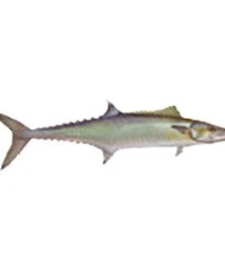 CRB Gamefish Rod Decals 115 CRB Gamefish Rod Decals