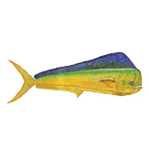 CRB Gamefish Rod Decals 19 CRB Gamefish Rod Decals