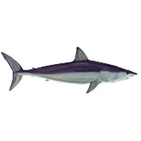 CRB Gamefish Rod Decals 22 CRB Gamefish Rod Decals