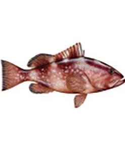 CRB Gamefish Rod Decals 86 CRB Gamefish Rod Decals