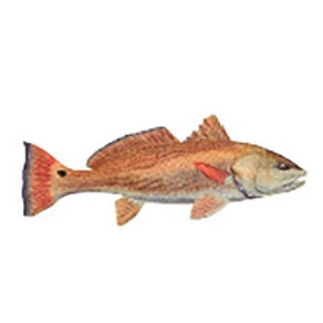 CRB Gamefish Rod Decals 29 CRB Gamefish Rod Decals