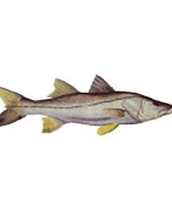 CRB Gamefish Rod Decals 93 CRB Gamefish Rod Decals