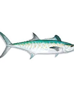 CRB Gamefish Rod Decals 107 CRB Gamefish Rod Decals