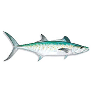 CRB Gamefish Rod Decals 51 CRB Gamefish Rod Decals