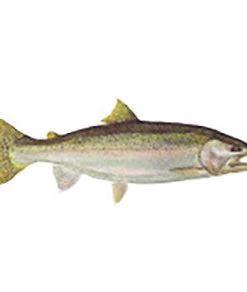 CRB Gamefish Rod Decals 94 CRB Gamefish Rod Decals