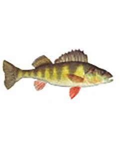 CRB Gamefish Rod Decals 110 CRB Gamefish Rod Decals